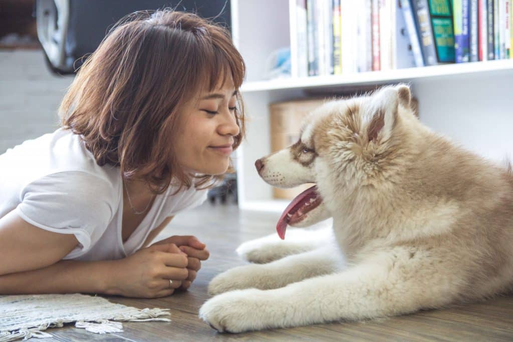 Fille avec son chien husky malamute