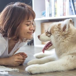 10 conseils pour un chien heureux en appartement