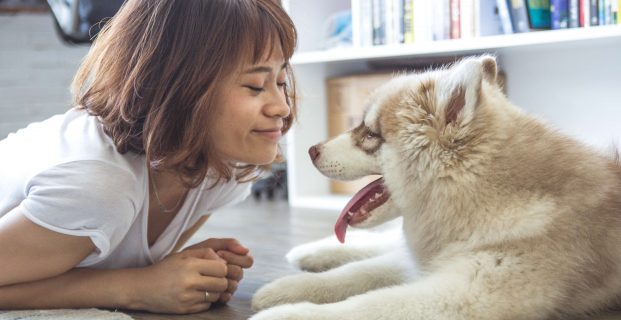 10 conseils pour un chien heureux en appartement